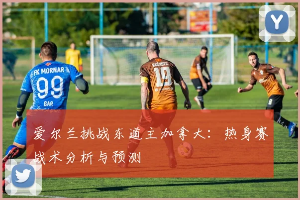 爱尔兰挑战东道主加拿大：热身赛战术分析与预测